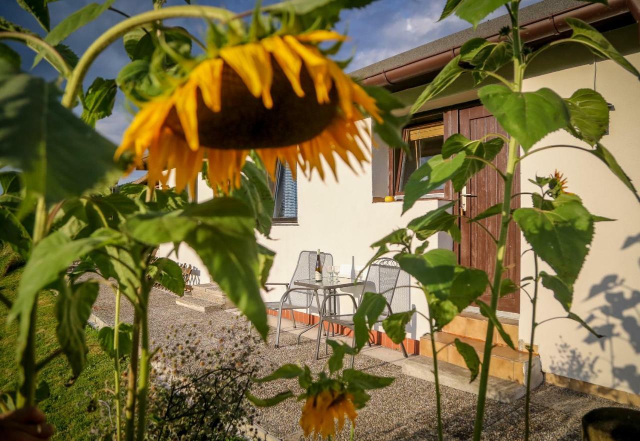 Pension Rauschberghof Ruhpolding Exterior photo